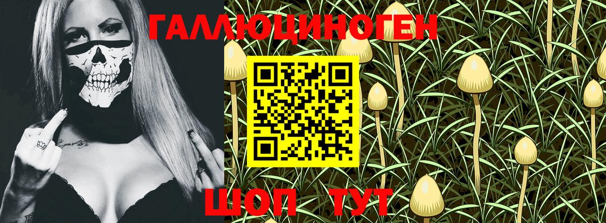 Галлюциногенные грибы Magic Shrooms Назрань